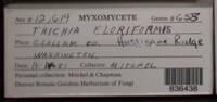 Image Associated With the Occurence